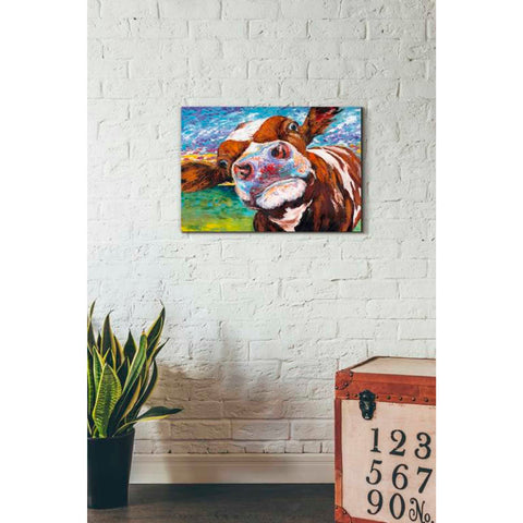 Image of 'Curious Cow I' by Carolee Vitaletti Giclee Canvas Wall Art
