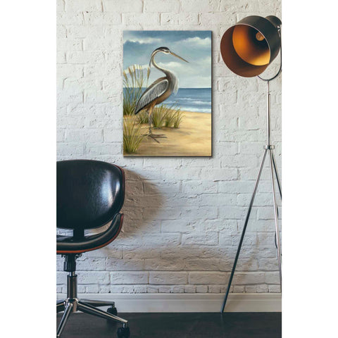 Image of 'Shore Bird I' by Ethan Harper Canvas Wall Art,18 x 26