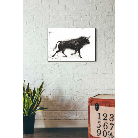 Image of 'Toro II' by Ethan Harper Canvas Wall Art,26 x 18