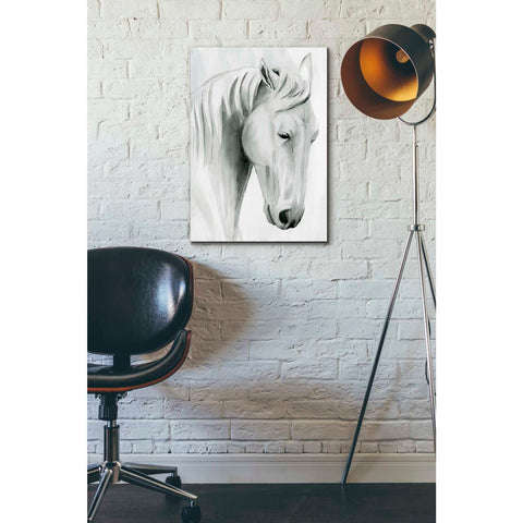 Image of 'Horse Whisper II' by Grace Popp Canvas Wall Art,18 x 26