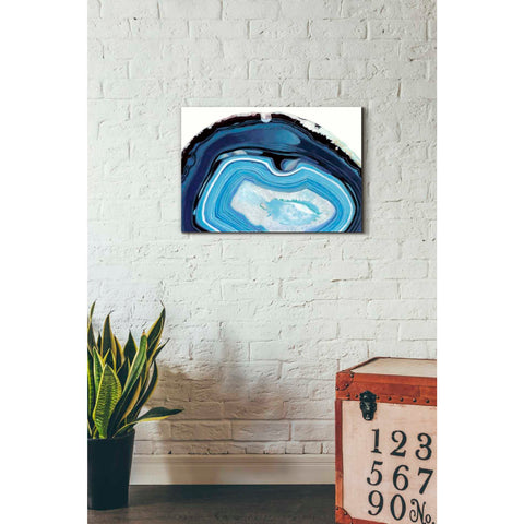 Image of 'Agate Studies I" by Naomi McCavitt. McCavitt Giclee Canvas Wall Art