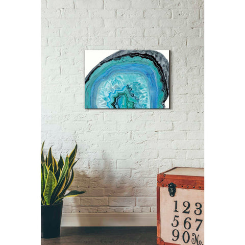 Image of 'Agate Studies II" by Naomi McCavitt. McCavitt Giclee Canvas Wall Art