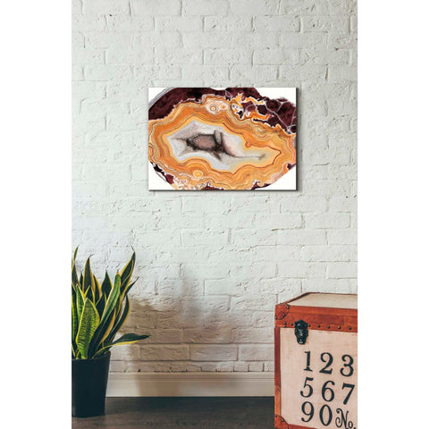 Image of 'Agate Studies III" by Naomi McCavitt. McCavitt Giclee Canvas Wall Art