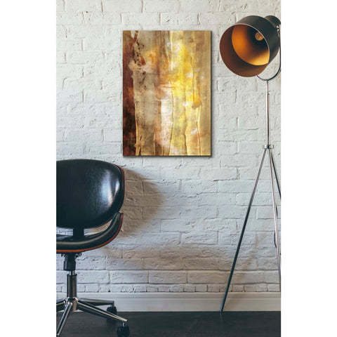 Image of 'Golden Glow I' by Sisa Jasper Canvas Wall Art,26 x 18
