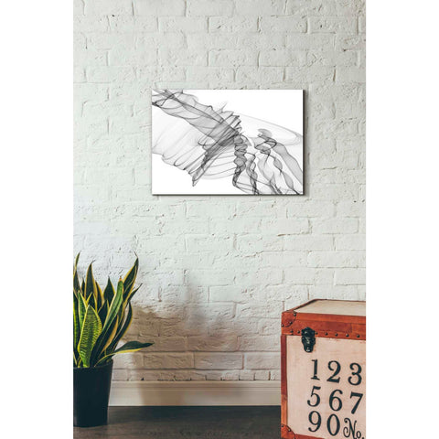 Image of 'Abstract Black and White 19-22-36' by Irena Orlov, Canvas Wall Art,26 x 18
