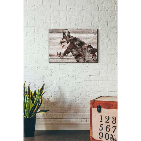 Image of 'Jalisco Horse' by Irena Orlov, Canvas Wall Art,26 x 18