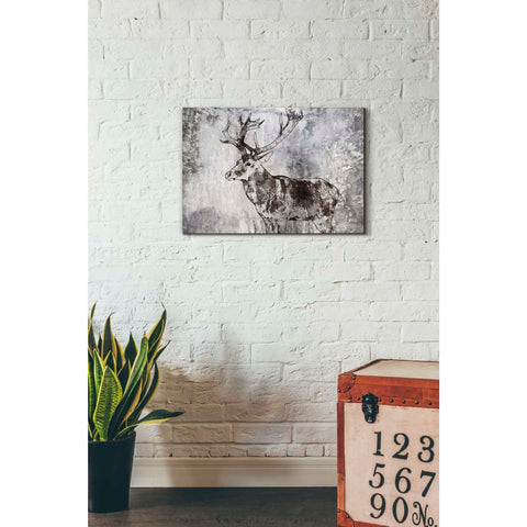 Image of 'Javan Rusa' by Irena Orlov, Canvas Wall Art,26 x 18