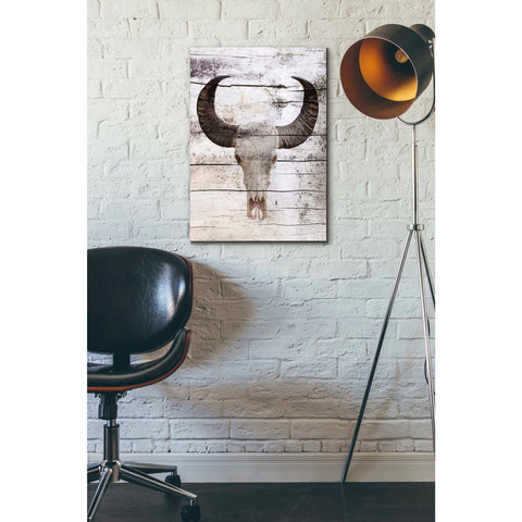 Image of 'Bullock Skull' by Irena Orlov, Canvas Wall Art,18 x 26