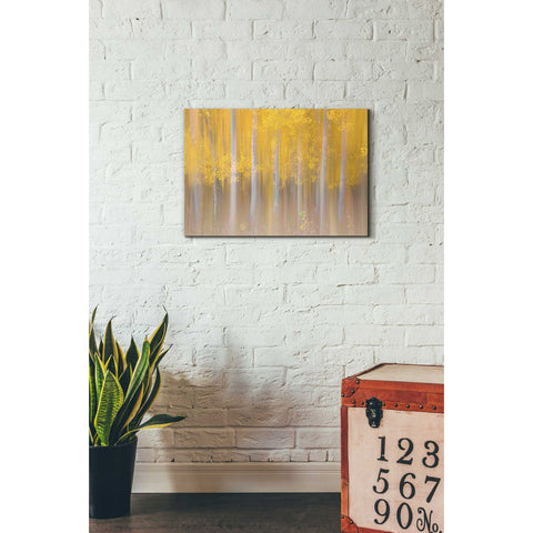 Image of 'Changing Seasons' by Darren White, Canvas Wall Art,18 x 26