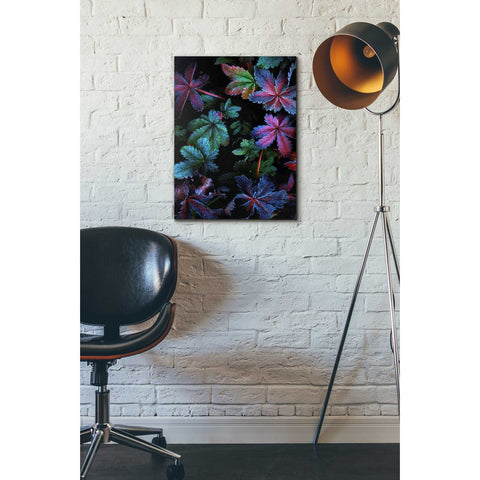 Image of 'Frosty Fall' by Darren White, Canvas Wall Art,18 x 26