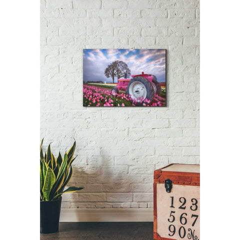 Image of 'Jane Deere' by Darren White, Canvas Wall Art,18 x 26