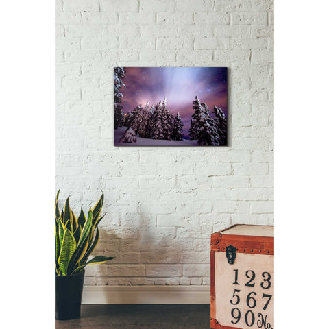 Image of 'Winter Nights' by Darren White, Canvas Wall Art,18 x 26