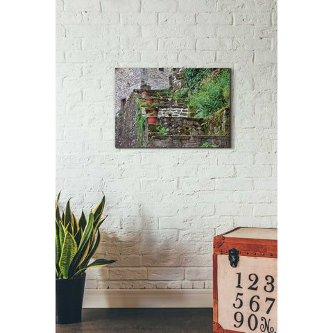 Image of 'Stone Steps,' Canvas Wall Art,18 x 26