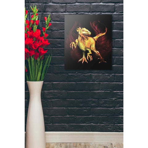 Image of 'Raptor' by Michael StewArt, Canvas Wall Art,20 x 24