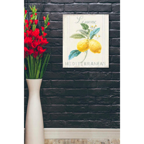 Image of 'Floursack Lemon III' by Danhui Nai, Canvas Wall Art,20 x 24