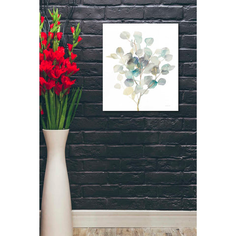 Image of 'Eucalyptus III White' by Danhui Nai, Canvas Wall Art,20 x 24