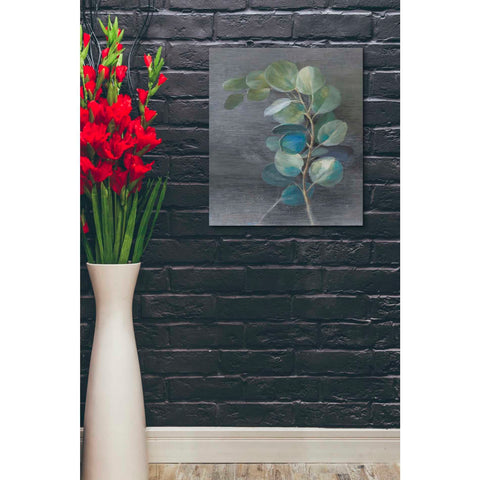 Image of 'Fresh II' by Danhui Nai, Canvas Wall Art,20 x 24