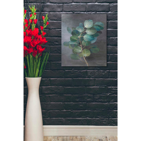 Image of 'Fresh I' by Danhui Nai, Canvas Wall Art,20 x 24