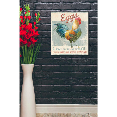 Image of 'Farm Nostalgia VI' by Danhui Nai, Canvas Wall Art,20 x 24