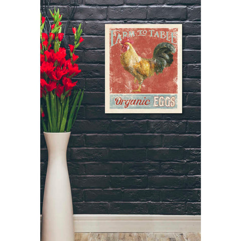 Image of 'Farm Nostalgia V' by Danhui Nai, Canvas Wall Art,20 x 24