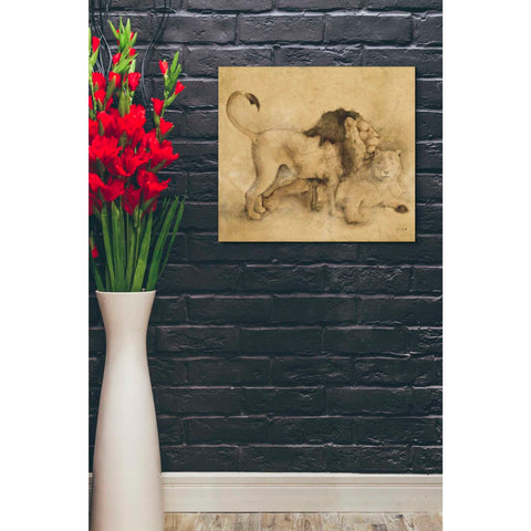 Image of 'Global Lions Light Crop' by Cheri Blum, Canvas Wall Art,20 x 24