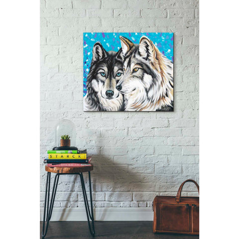 Image of 'Grey Wolf I' by Carolee Vitaletti Giclee Canvas Wall Art