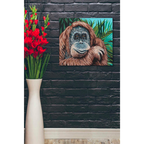 Image of 'Jungle Monkey I' by Carolee Vitaletti Canvas Wall Art,24 x 20