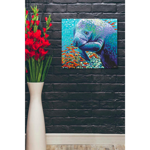 Image of 'Sea Sweetheart II' by Carolee Vitaletti Giclee Canvas Wall Art