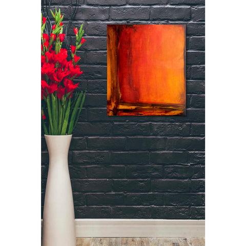 Image of 'Red Dawn II' by Erin Ashley Canvas Wall Art,20 x 24