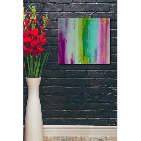 Image of 'Spring Stream I' by Erin Ashley Canvas Wall Art,24 x 20