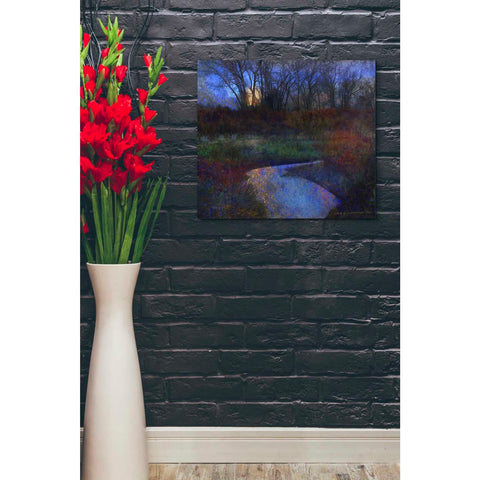 Image of 'Moonlit Stream' by Chris Vest, Giclee Canvas Wall Art