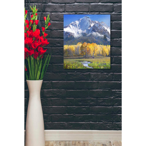 Image of 'Idyllic Mountain' by Chris Vest, Giclee Canvas Wall Art