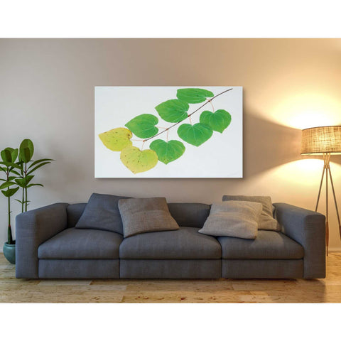 Image of 'Katura' by Zigen Tanabe, Giclee Canvas Wall Art