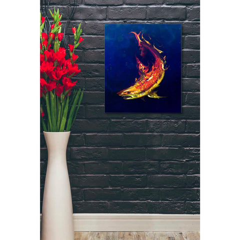 Image of 'Tiger Shark' by Michael StewArt, Giclee Canvas Wall Art