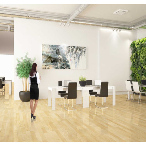 Image of 'Bald Eagle Over Cascading Waterfalls' by River Han, Canvas Wall Art,20 x 40