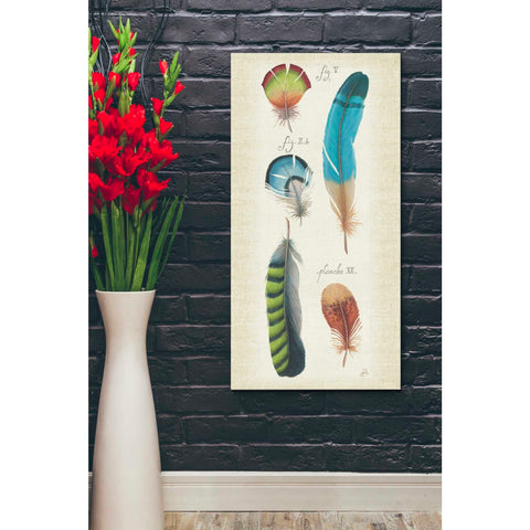 Image of 'Ornithology IV Panel' by Daphne Brissonet, Canvas Wall Art,20 x 40