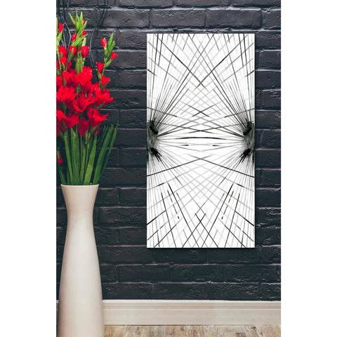 Image of 'Rays IV' by Grace Popp Canvas Wall Art,20 x 40