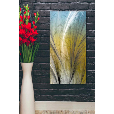Image of 'Fountain Grass III' by James Burghardt Giclee Canvas Wall Art