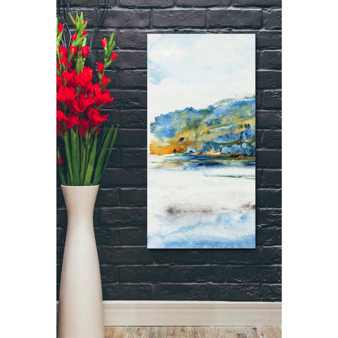 Image of 'Island Mist I' by Tim O'Toole Canvas Wall Art,20 x 40