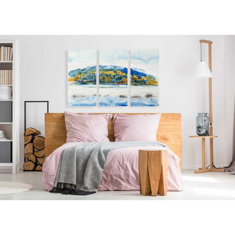 Image of 'Island Mist I' by Tim O'Toole Canvas Wall Art,20 x 40