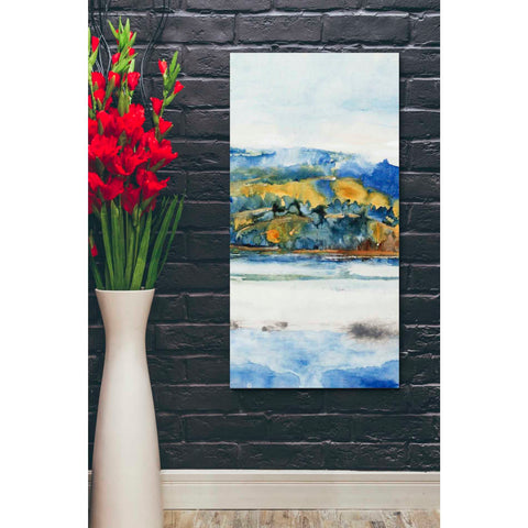 Image of 'Island Mist II' by Tim O'Toole Canvas Wall Art,20 x 40