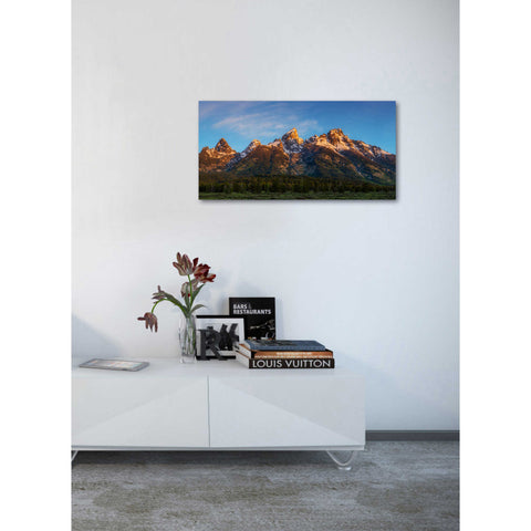 Image of 'Tetons First Light' by Darren White, Canvas Wall Art,20 x 40