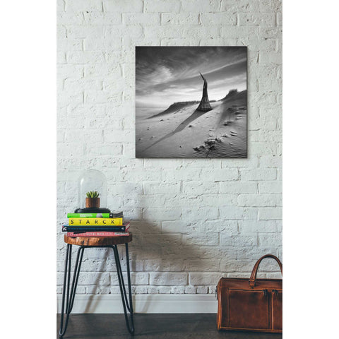 Image of 'Theater of Dreams' by Dariusz Klimczak, Canvas Wall Art,26 x 26