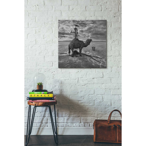 Image of 'Watering Place' by Dariusz Klimczak, Canvas Wall Art,26 x 26