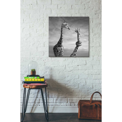 Image of 'Twisted Sister' by Dariusz Klimczak, Canvas Wall Art,26 x 26