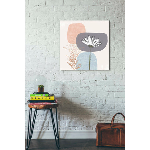 Image of 'Soft Floral II' by Linda Woods, Canvas Wall Art,26 x 26