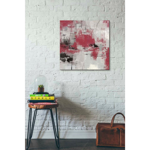 Image of 'Stone Gardens III Red' by Silvia Vassileva, Canvas Wall Art,26 x 26
