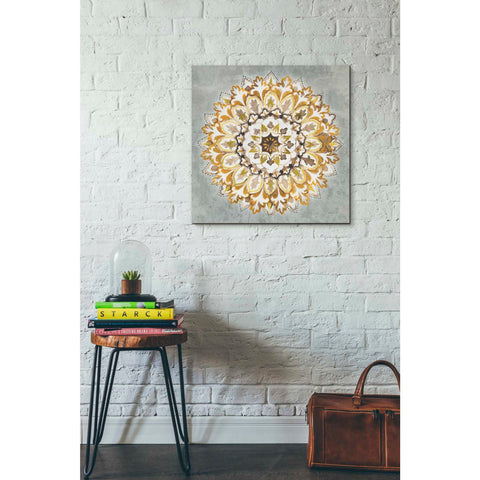 Image of 'Mandala Delight II Yellow Grey' by Danhui Nai, Canvas Wall Art,26 x 26