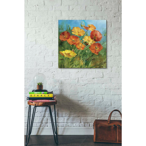 Image of 'Summer Field IV' by Danhui Nai, Canvas Wall Art,26 x 26