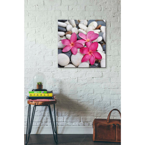 Image of 'Shintai II' Canvas Wall Art,26 x 26